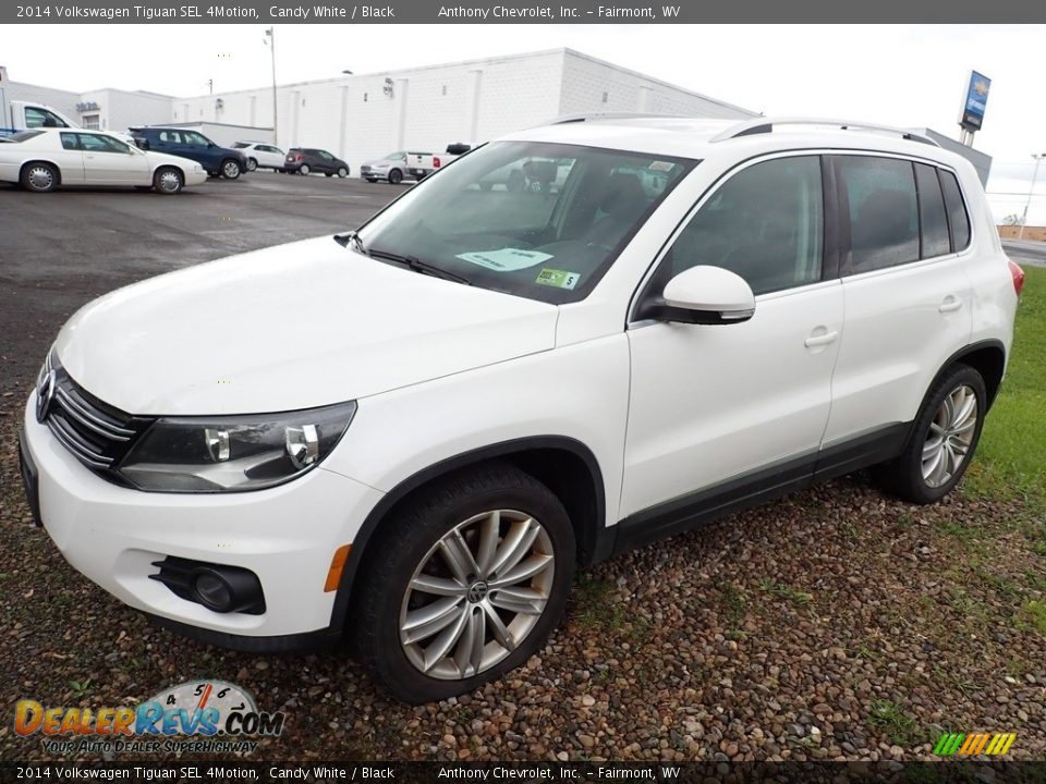 2014 Volkswagen Tiguan SEL 4Motion Candy White / Black Photo #4