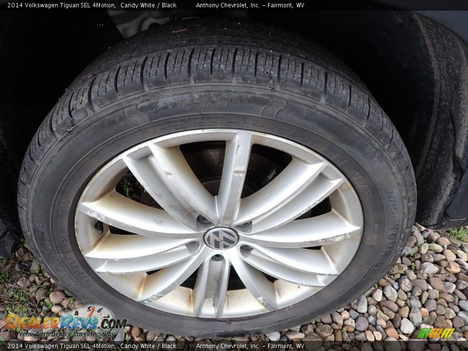 2014 Volkswagen Tiguan SEL 4Motion Candy White / Black Photo #5