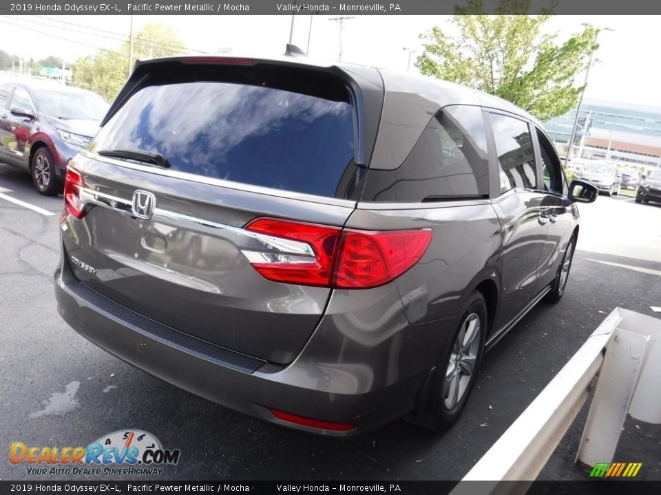 2019 Honda Odyssey EX-L Pacific Pewter Metallic / Mocha Photo #7