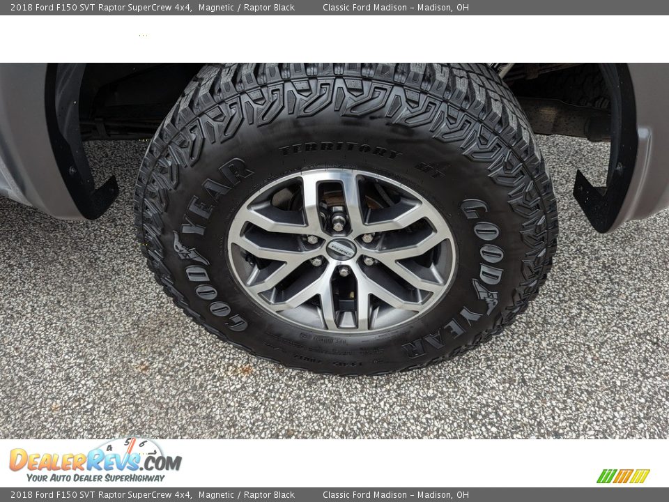 2018 Ford F150 SVT Raptor SuperCrew 4x4 Magnetic / Raptor Black Photo #20