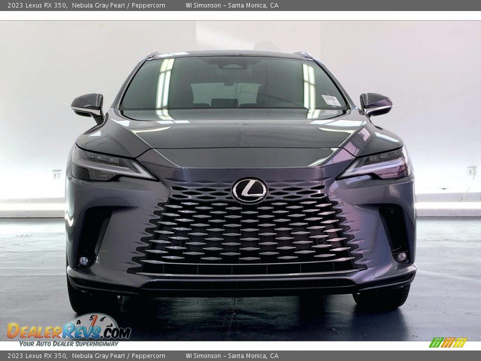 2023 Lexus RX 350 Nebula Gray Pearl / Peppercorn Photo #2