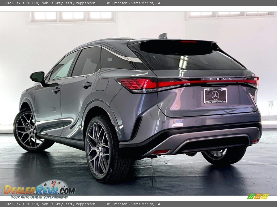 2023 Lexus RX 350 Nebula Gray Pearl / Peppercorn Photo #9