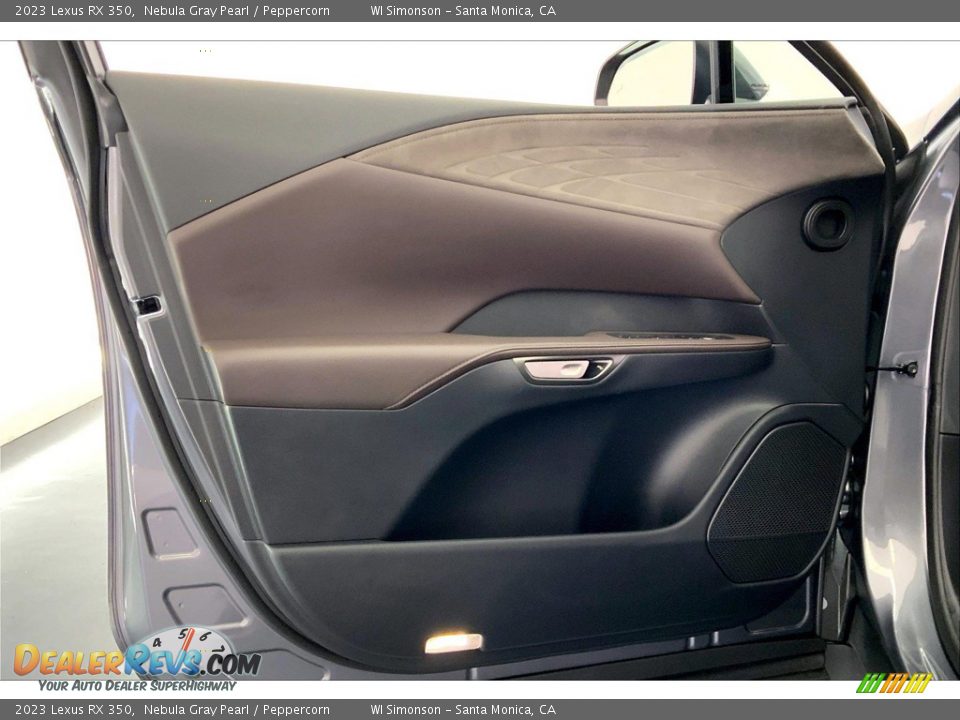 Door Panel of 2023 Lexus RX 350 Photo #25