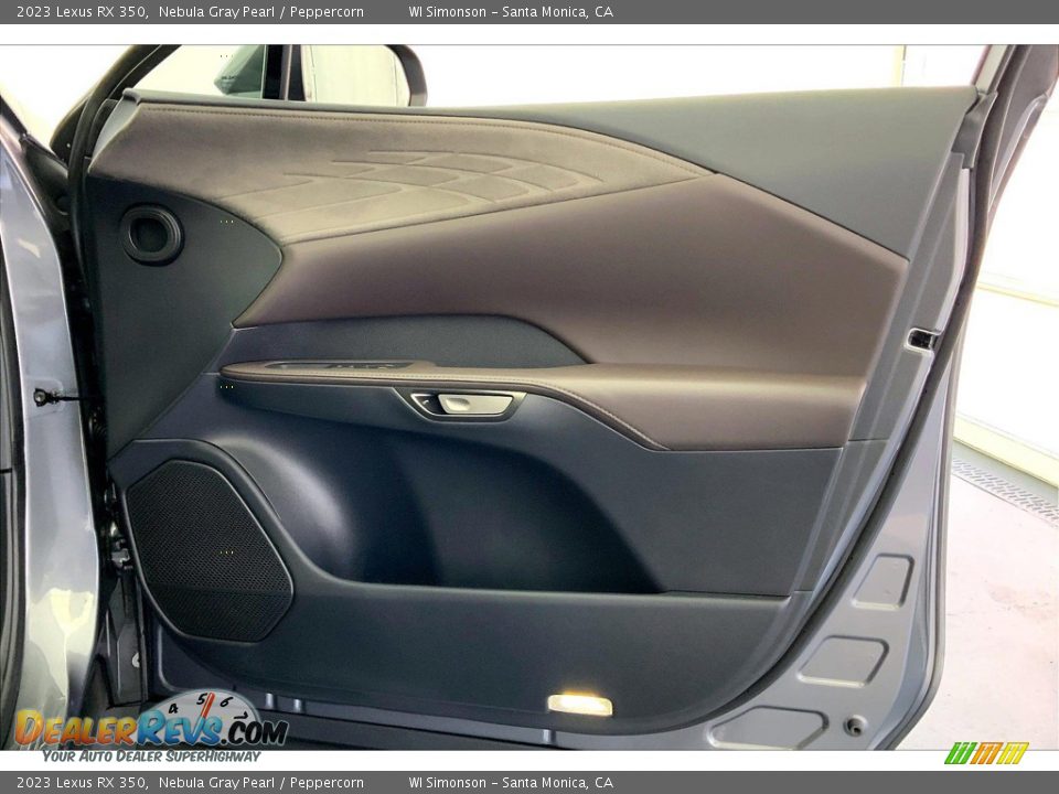 Door Panel of 2023 Lexus RX 350 Photo #26
