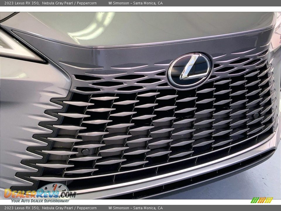 2023 Lexus RX 350 Nebula Gray Pearl / Peppercorn Photo #29