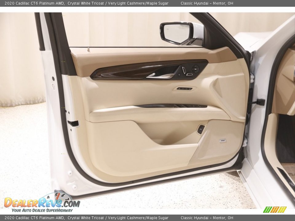 Door Panel of 2020 Cadillac CT6 Platinum AWD Photo #4