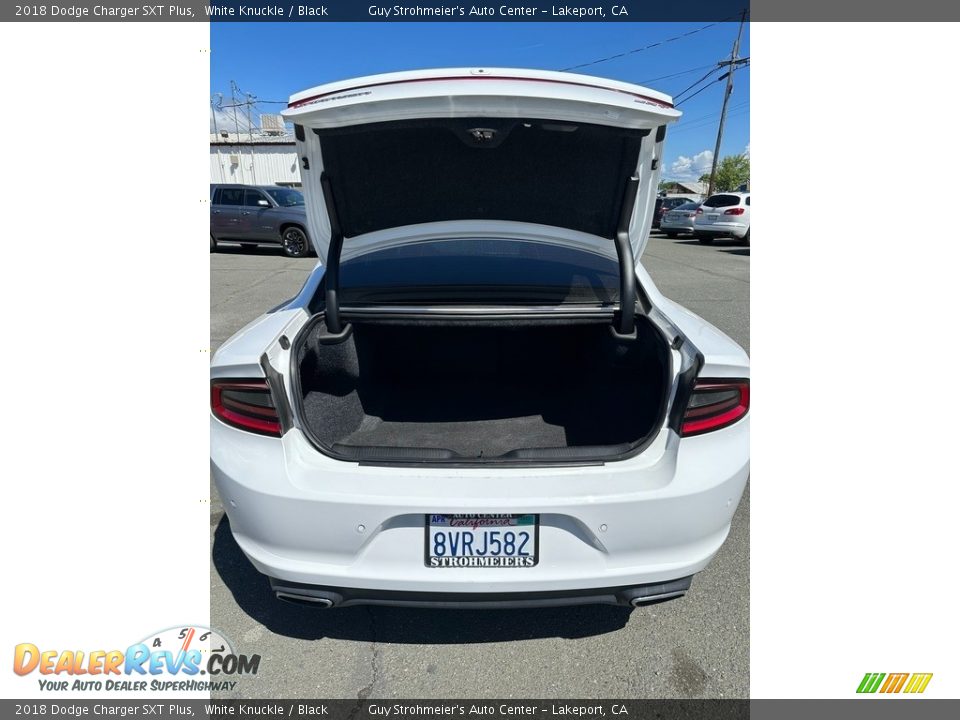 2018 Dodge Charger SXT Plus White Knuckle / Black Photo #15