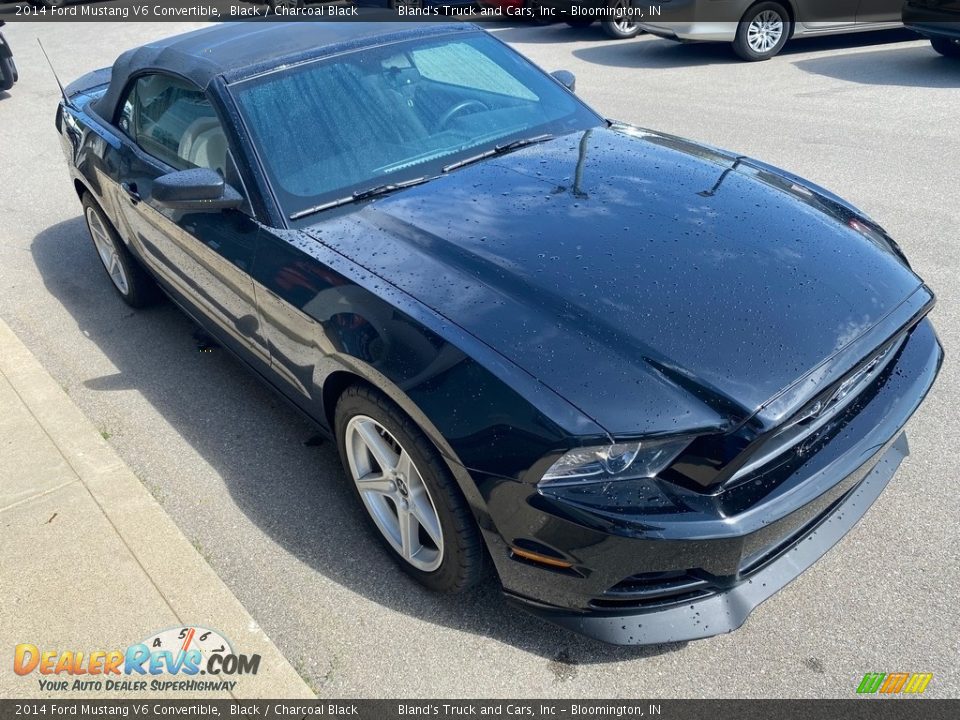 2014 Ford Mustang V6 Convertible Black / Charcoal Black Photo #8