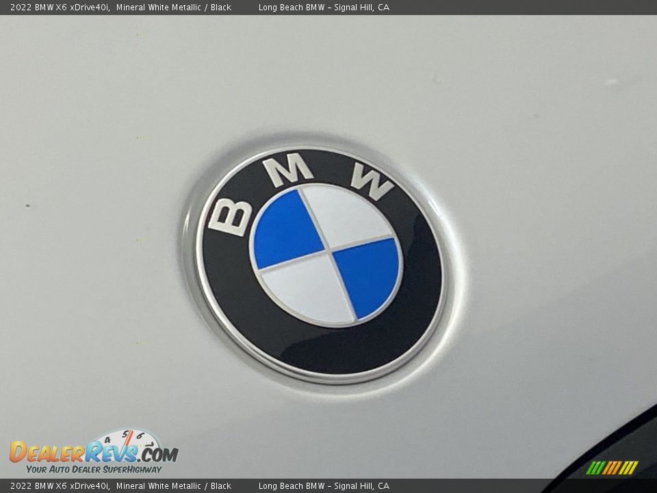 2022 BMW X6 xDrive40i Mineral White Metallic / Black Photo #7