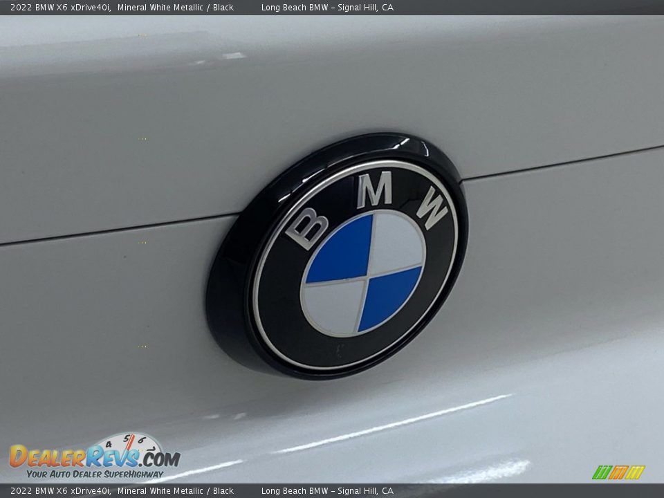 2022 BMW X6 xDrive40i Mineral White Metallic / Black Photo #9