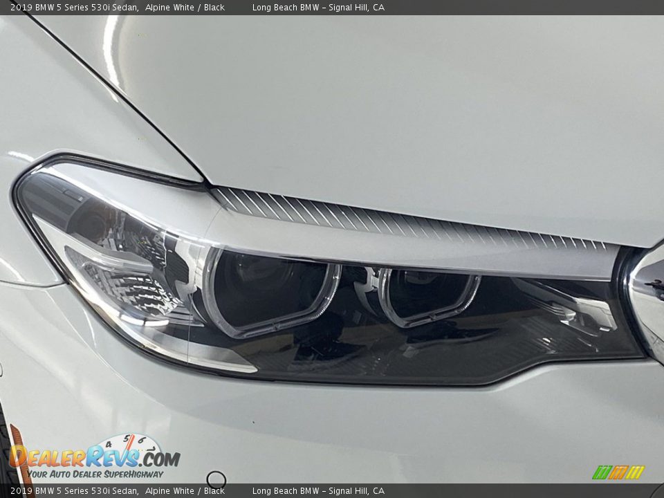 2019 BMW 5 Series 530i Sedan Alpine White / Black Photo #6