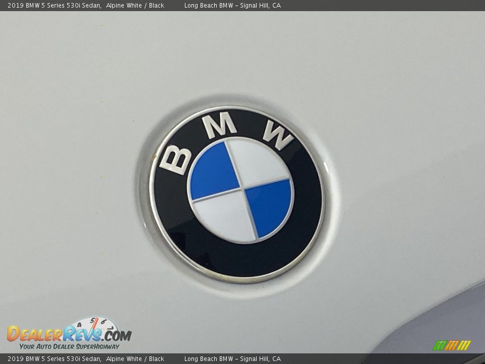 2019 BMW 5 Series 530i Sedan Alpine White / Black Photo #7