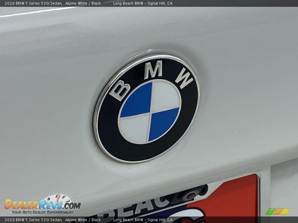 2019 BMW 5 Series 530i Sedan Alpine White / Black Photo #9
