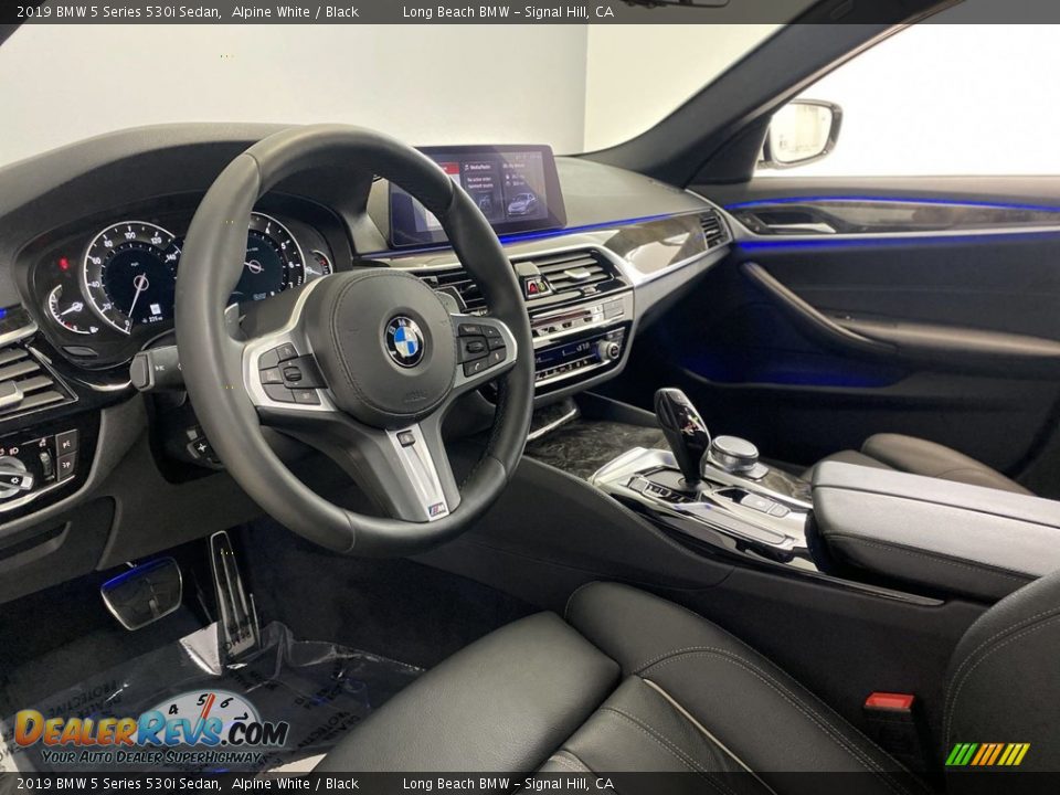 2019 BMW 5 Series 530i Sedan Alpine White / Black Photo #15