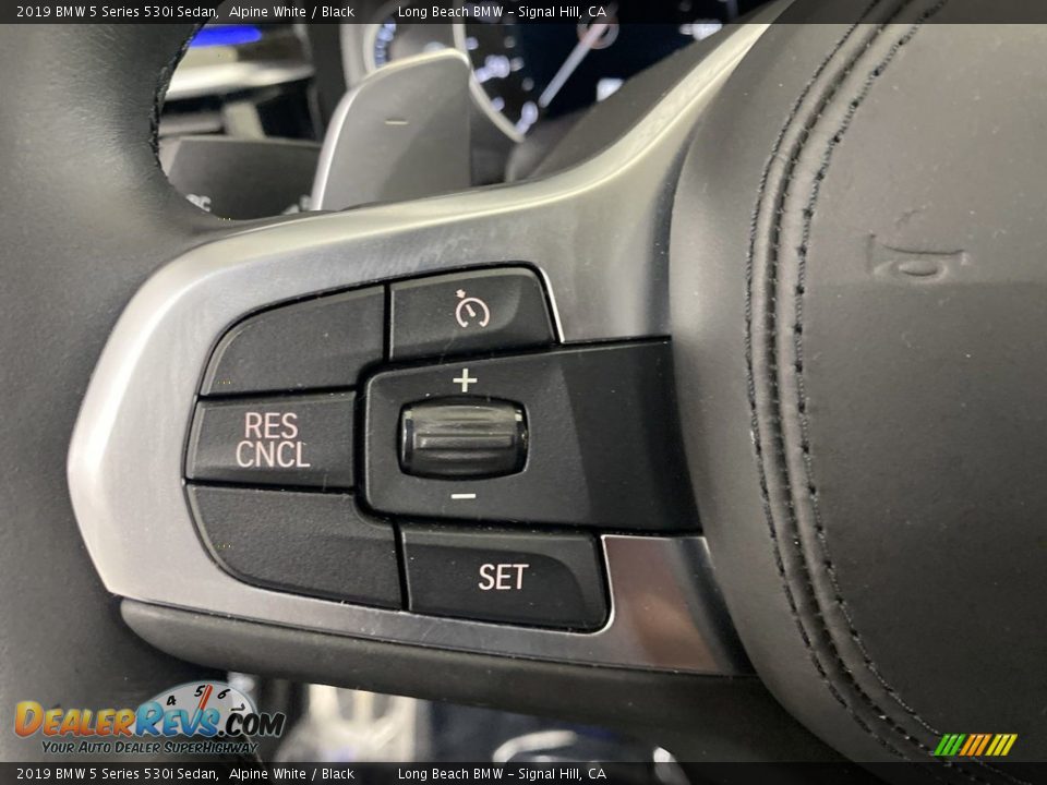 2019 BMW 5 Series 530i Sedan Alpine White / Black Photo #18