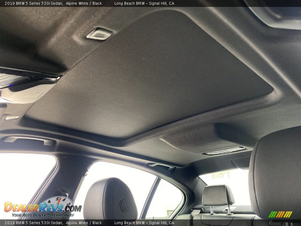 2019 BMW 5 Series 530i Sedan Alpine White / Black Photo #30