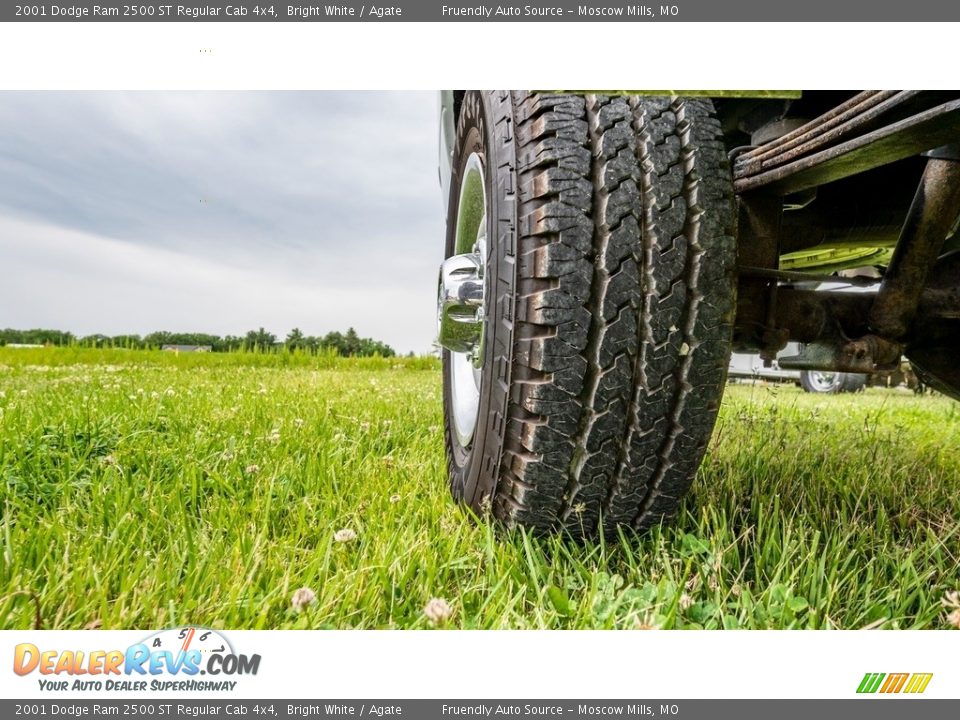 2001 Dodge Ram 2500 ST Regular Cab 4x4 Bright White / Agate Photo #19