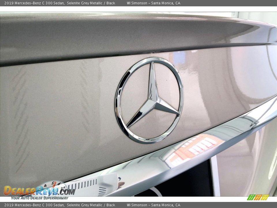 2019 Mercedes-Benz C 300 Sedan Selenite Grey Metallic / Black Photo #7