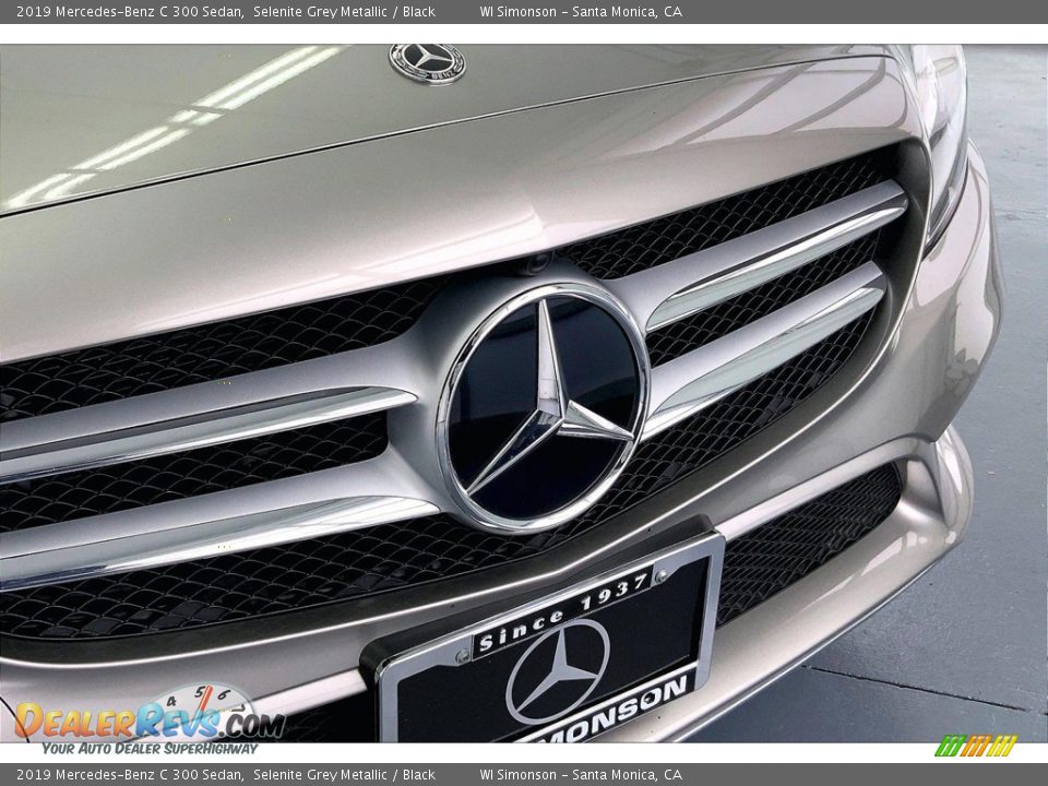 2019 Mercedes-Benz C 300 Sedan Selenite Grey Metallic / Black Photo #30