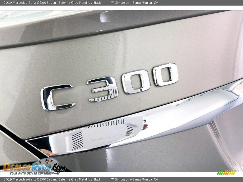 2019 Mercedes-Benz C 300 Sedan Selenite Grey Metallic / Black Photo #31