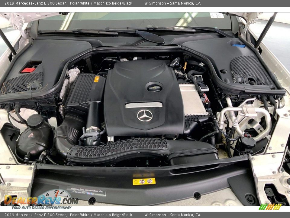 2019 Mercedes-Benz E 300 Sedan 2.0 Liter Turbocharged DOHC 16-Valve VVT 4 Cylinder Engine Photo #9