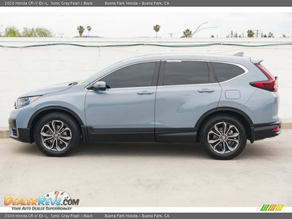 2020 Honda CR-V EX-L Sonic Gray Pearl / Black Photo #8