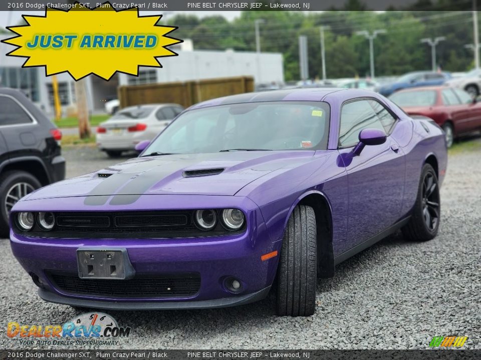 2016 Dodge Challenger SXT Plum Crazy Pearl / Black Photo #1