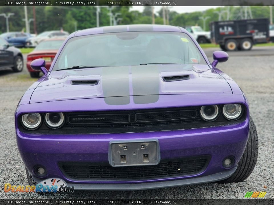 2016 Dodge Challenger SXT Plum Crazy Pearl / Black Photo #2