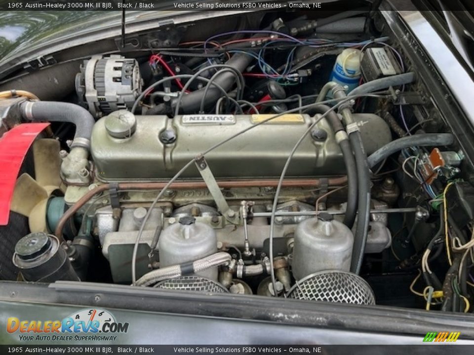 1965 Austin-Healey 3000 MK III BJ8 3.0 Liter OHV 12-Valve Inline 6 Cylinder Engine Photo #18