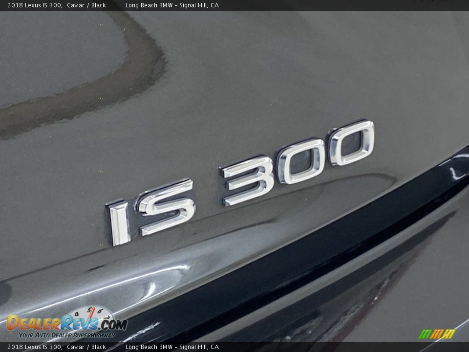 2018 Lexus IS 300 Logo Photo #10
