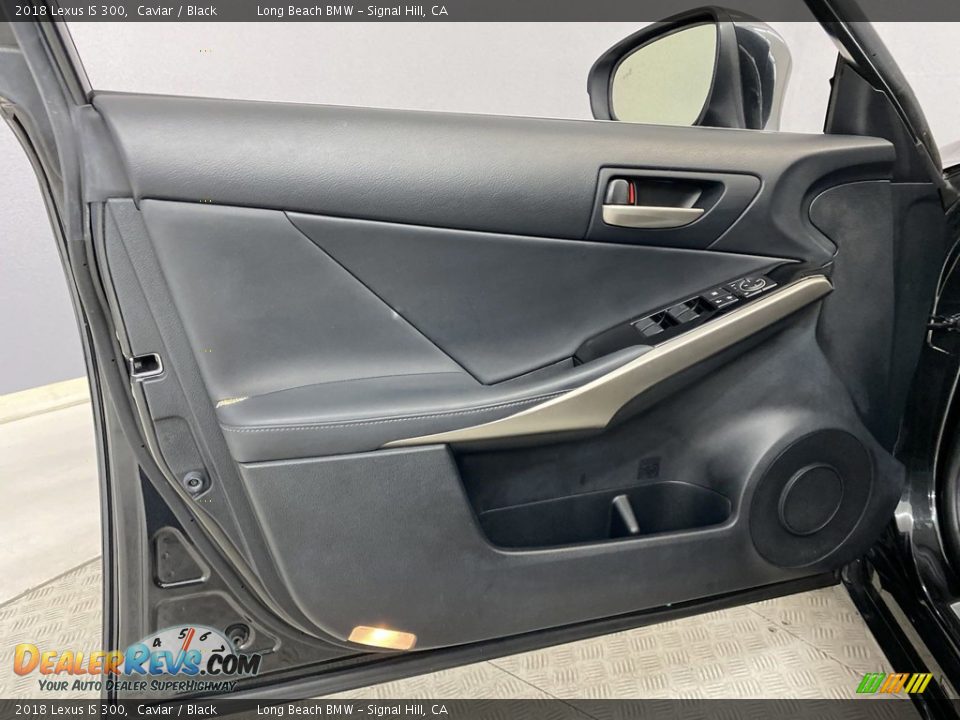 Door Panel of 2018 Lexus IS 300 Photo #12