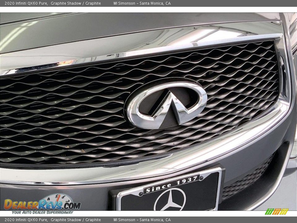 2020 Infiniti QX60 Pure Graphite Shadow / Graphite Photo #29