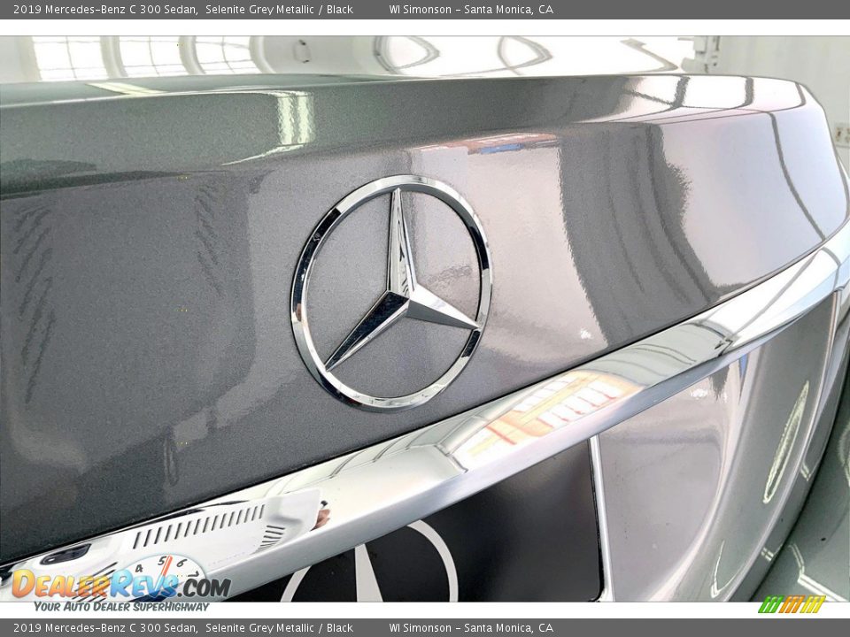 2019 Mercedes-Benz C 300 Sedan Selenite Grey Metallic / Black Photo #7