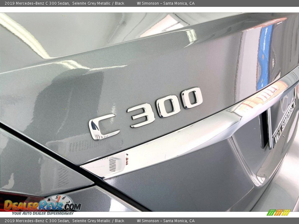 2019 Mercedes-Benz C 300 Sedan Selenite Grey Metallic / Black Photo #31