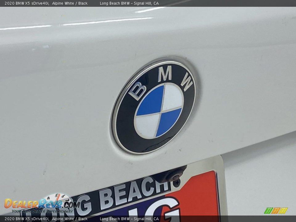 2020 BMW X5 sDrive40i Alpine White / Black Photo #9