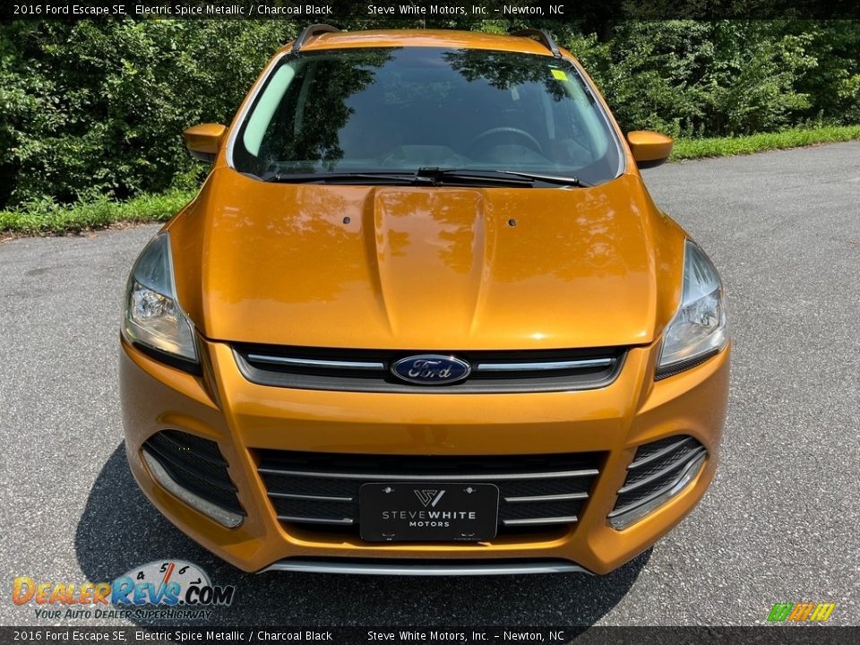 Electric Spice Metallic 2016 Ford Escape SE Photo #3