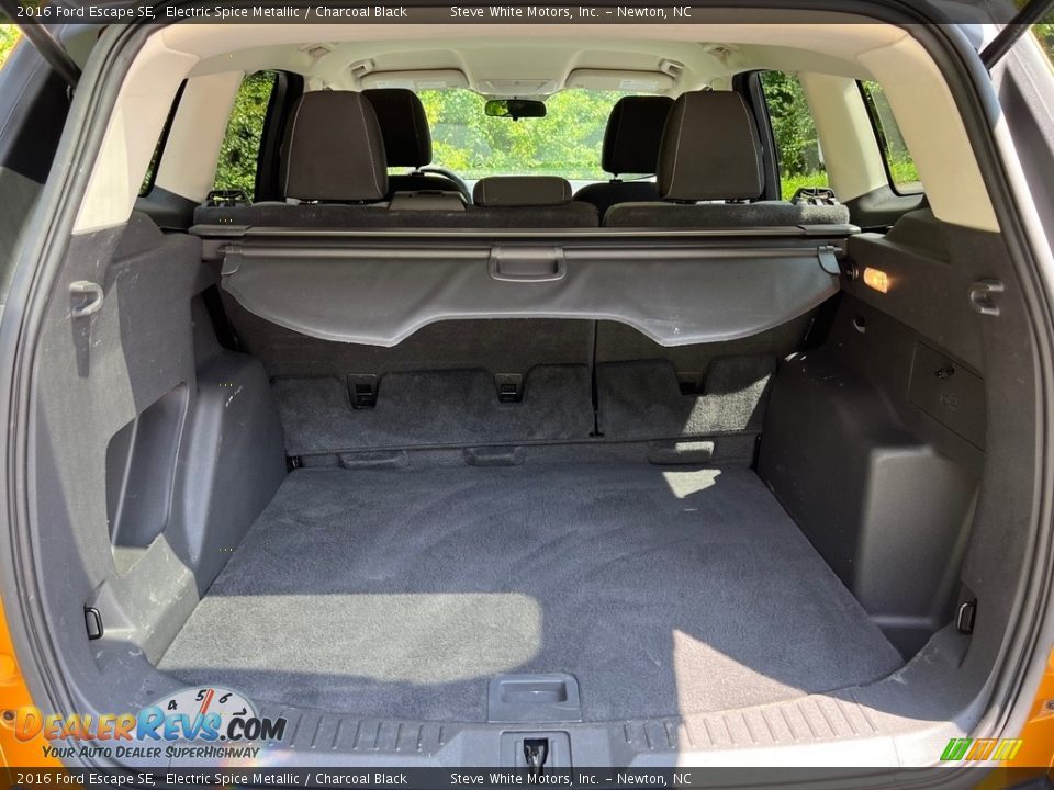 2016 Ford Escape SE Trunk Photo #13