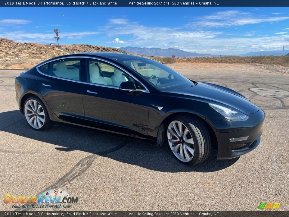 Solid Black 2019 Tesla Model 3 Performance Photo #5