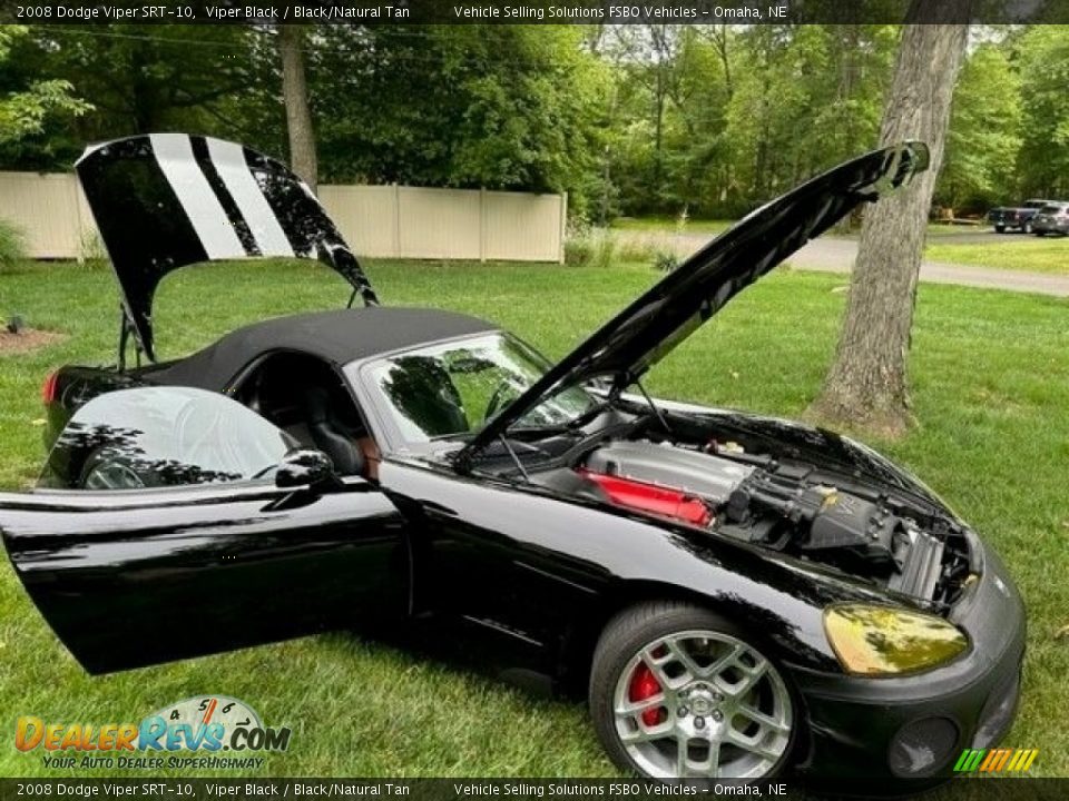 Viper Black 2008 Dodge Viper SRT-10 Photo #4