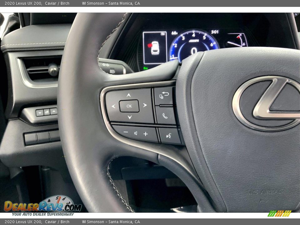 2020 Lexus UX 200 Steering Wheel Photo #21