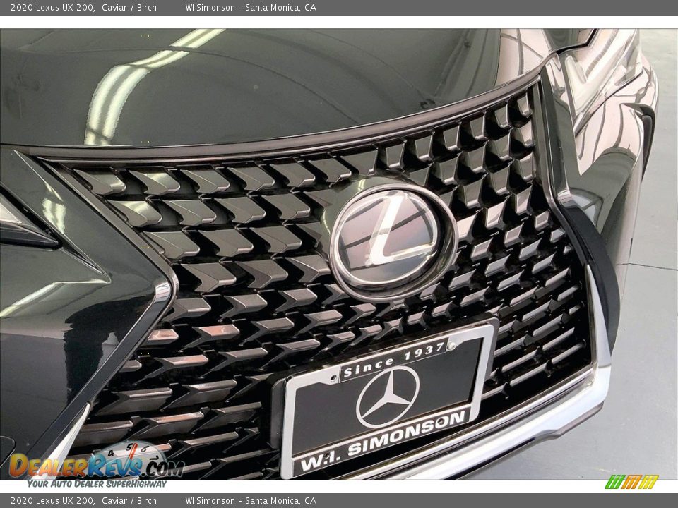 2020 Lexus UX 200 Caviar / Birch Photo #29