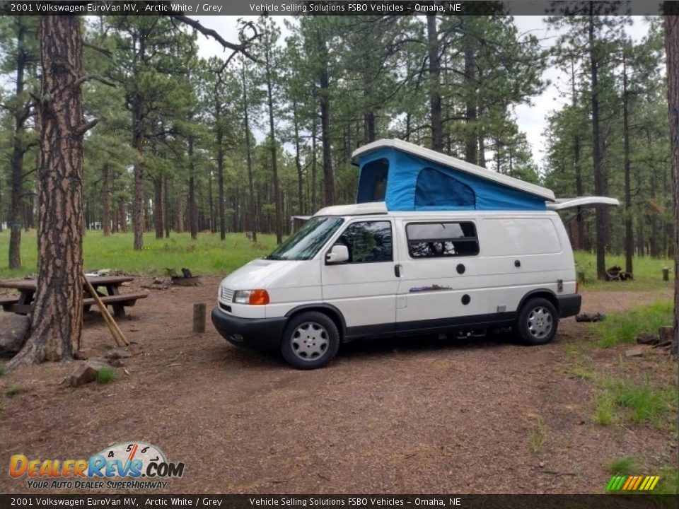 Arctic White 2001 Volkswagen EuroVan MV Photo #8