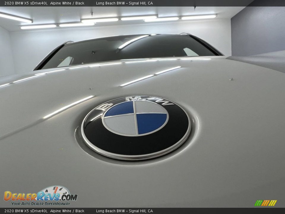 2020 BMW X5 sDrive40i Alpine White / Black Photo #9