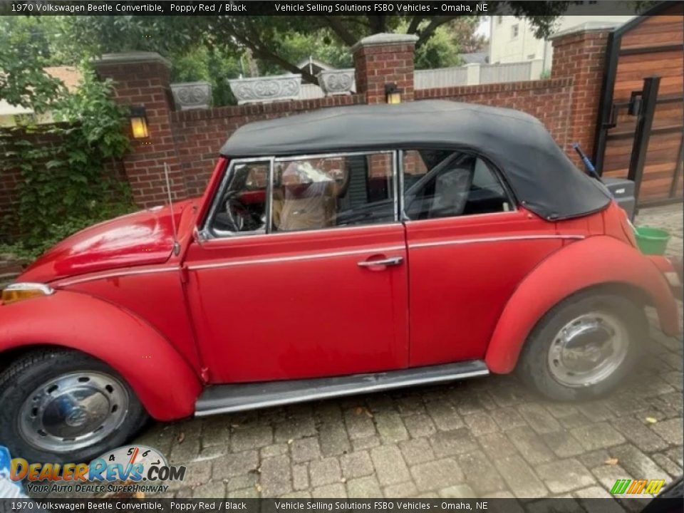 Poppy Red 1970 Volkswagen Beetle Convertible Photo #4