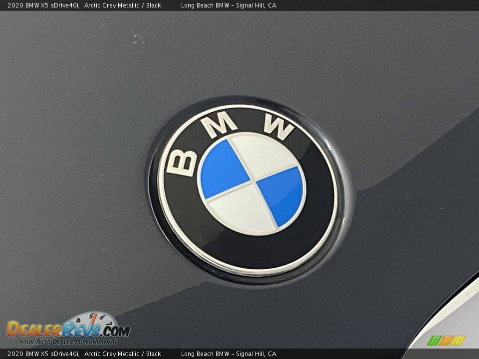 2020 BMW X5 sDrive40i Arctic Grey Metallic / Black Photo #7
