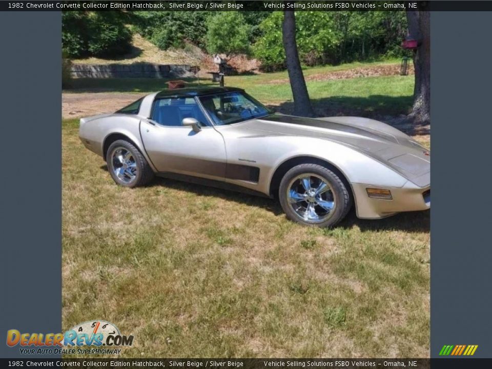 1982 Chevrolet Corvette Collector Edition Hatchback Silver Beige / Silver Beige Photo #1