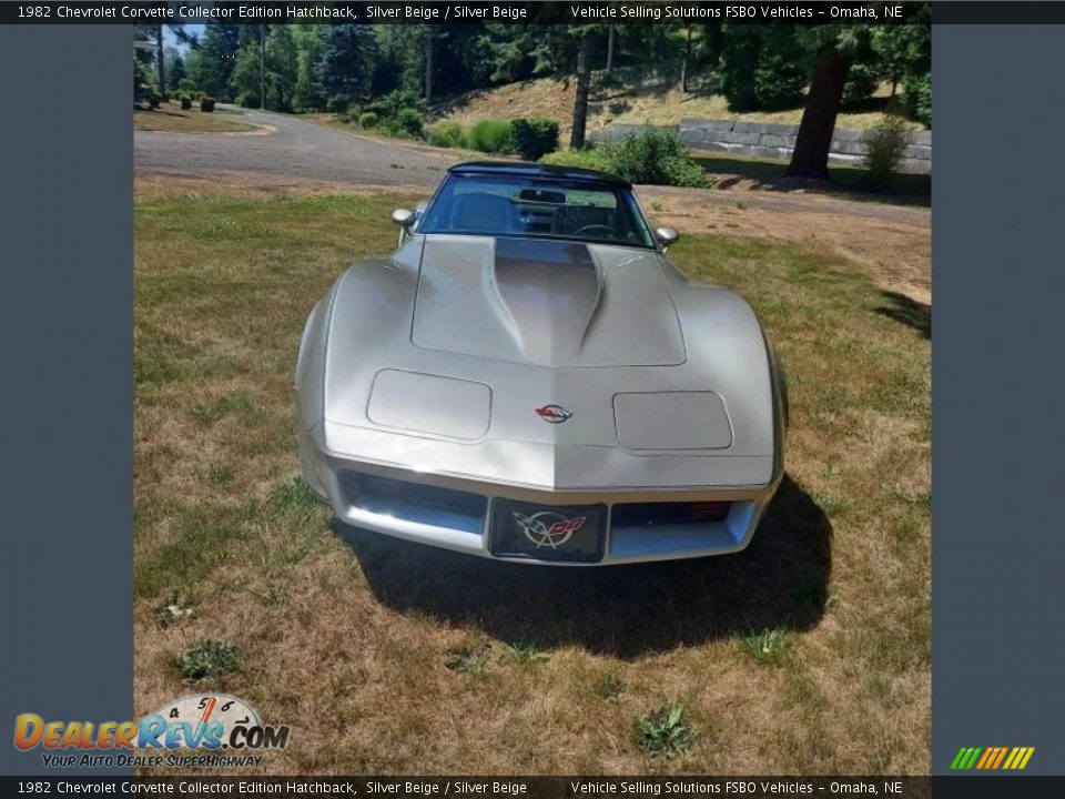 1982 Chevrolet Corvette Collector Edition Hatchback Silver Beige / Silver Beige Photo #9