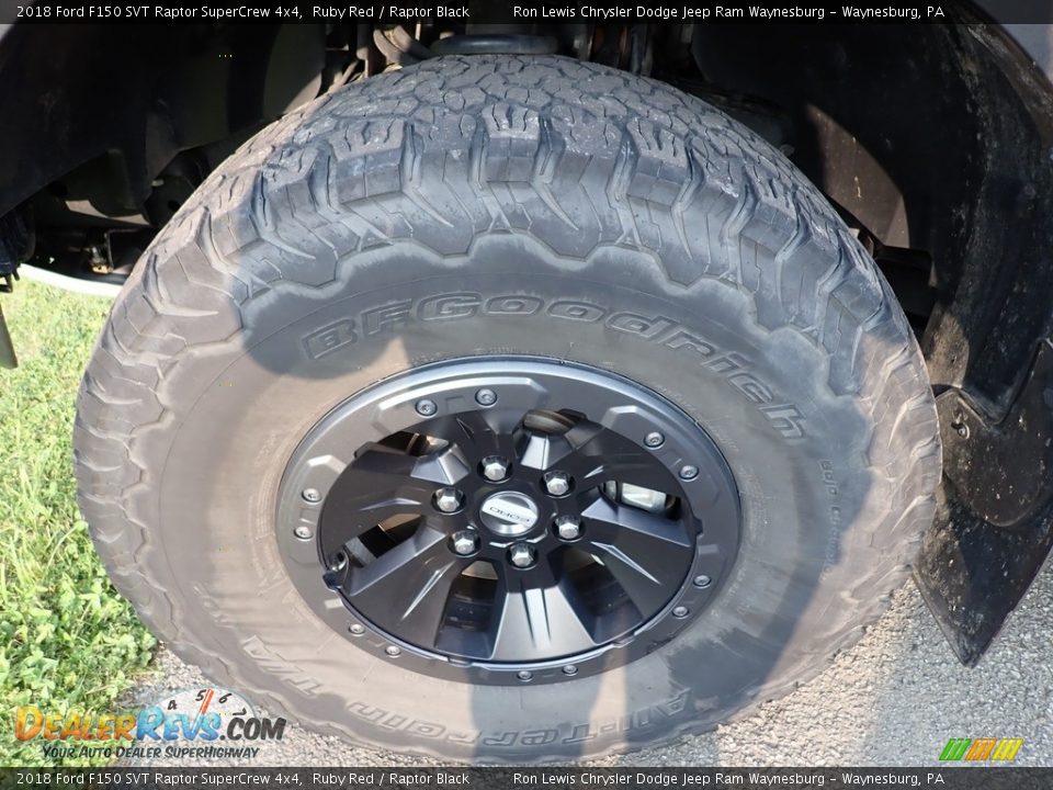 2018 Ford F150 SVT Raptor SuperCrew 4x4 Ruby Red / Raptor Black Photo #5