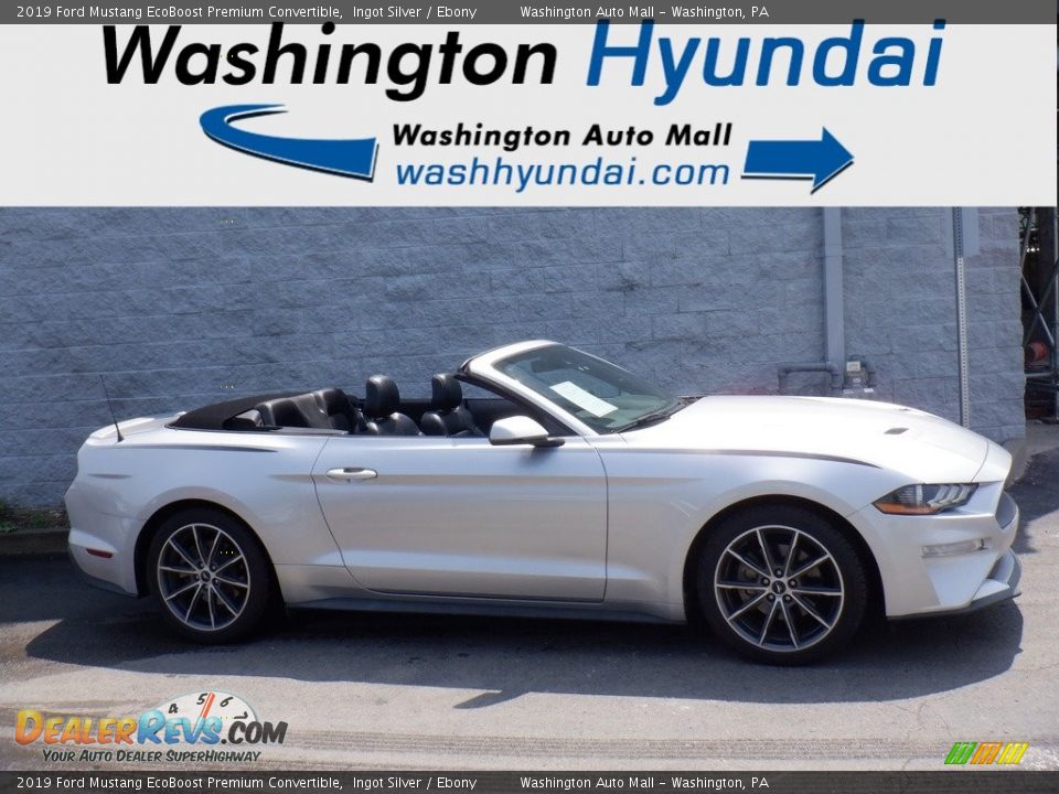 2019 Ford Mustang EcoBoost Premium Convertible Ingot Silver / Ebony Photo #5