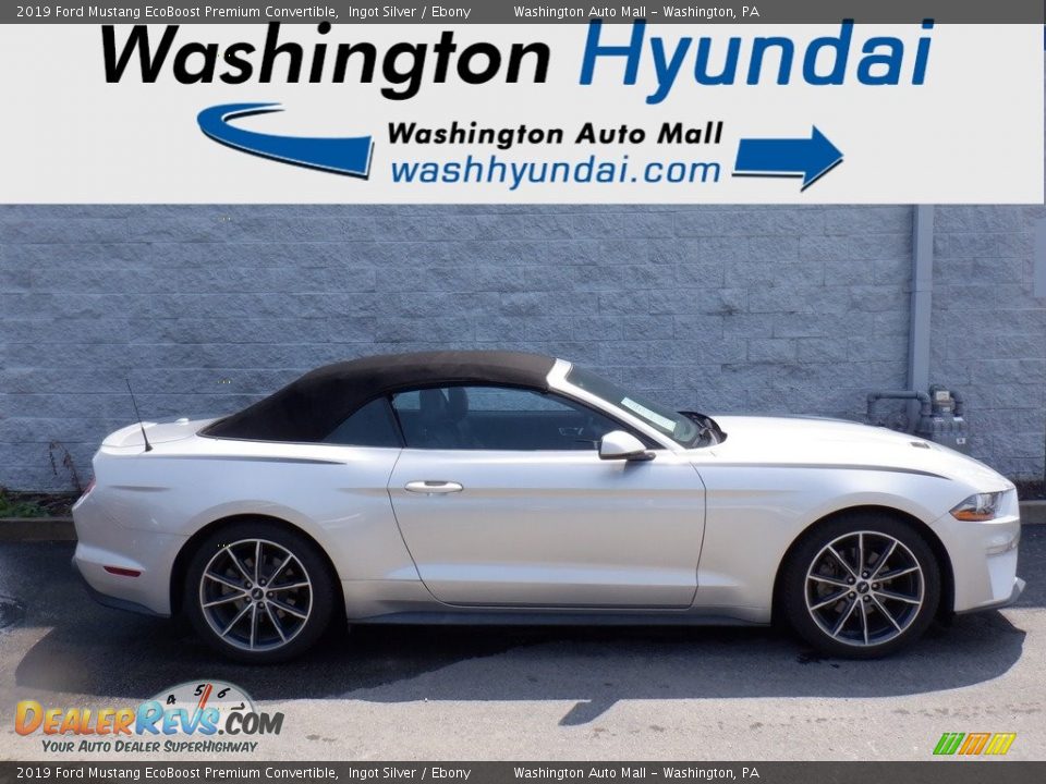 2019 Ford Mustang EcoBoost Premium Convertible Ingot Silver / Ebony Photo #6